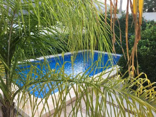 Villa Castillitos en el Aire en lo alto del Montgó-Denia-Piscina