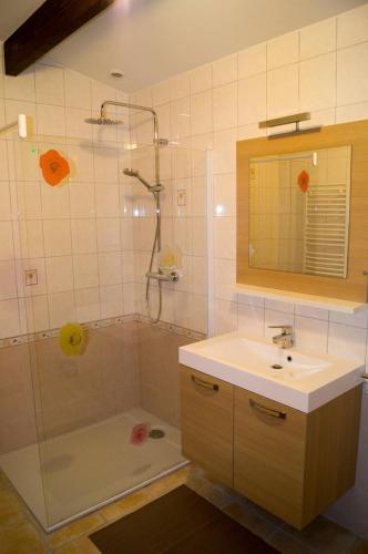 une salle de bain avec douche et lavabo dans l'établissement Gite à la ferme - 240m2 - billard - babyfoot, à Beauvoir-de-Marc