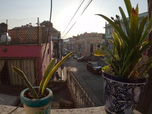 Il quartiere o una zona nella vicinanze dell'appartamento