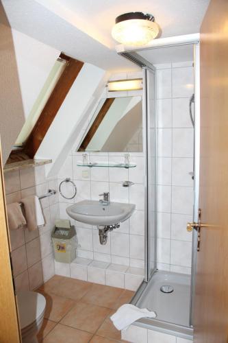 La salle de bains est pourvue d'un lavabo et d'une douche. dans l'établissement Hotel- Restaurant Zum Kleinen König, à Bad Zwesten