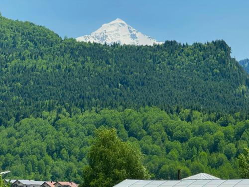 a mountain covered in trees with a mountain at Hotel Lileo in Mestia