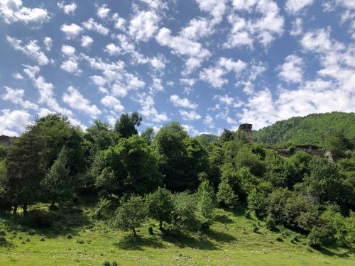 a field with trees and a blue sky with clouds at Hotel Lileo in Mestia