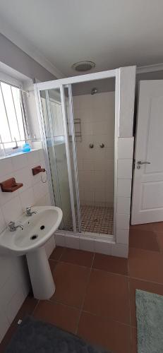 a bathroom with a shower and a white sink at Firehouse selfcatering Garden Cottages no 5 in Wellington