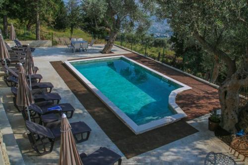 una piscina con sillas y una mesa en Olive Grove, en Bar