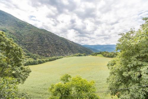a large green field with mountains in the background at Apartament Garrota in Olp