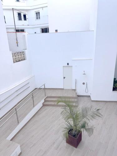 Terrazas de Conil la Almadraba
