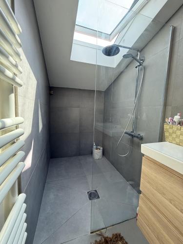 une salle de bain avec une douche avec une porte vitrée dans l'établissement Villa avec cachet au Parc Bordelais, à Bordeaux