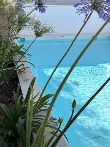 Terrazas de Conil la Almadraba