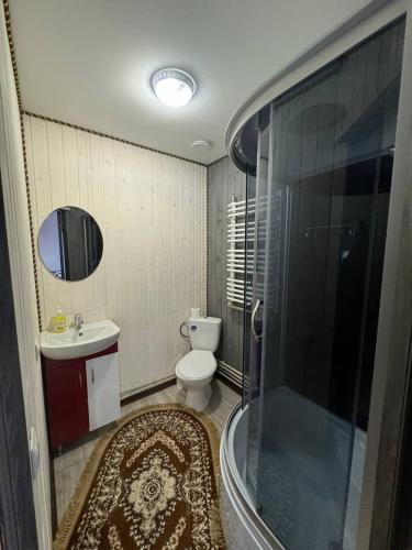 a bathroom with a toilet and a sink and a shower at Садиба у Софійки in Synevyrsʼka Polyana