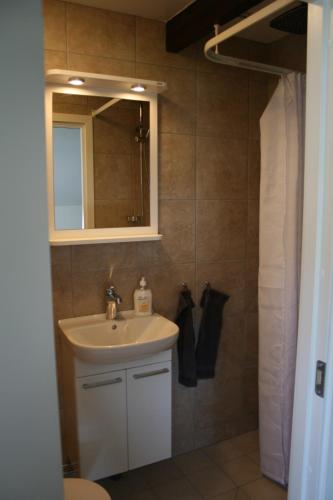 a bathroom with a sink and a mirror at Visby Innerstad Lägenheter & Rum in Visby