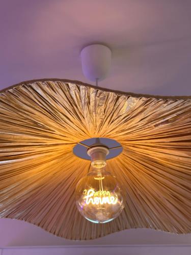a ceiling light with a fan on a ceiling at Studio MBS 2- Cosy, Tramway, Wifi, Parking, Equipé in Montpellier
