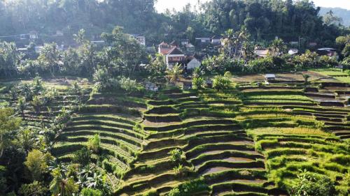 Landskap semula jadi dekat dengan rumah tamu ini