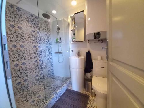 a small bathroom with a shower and a toilet at Studio in Balatonlelle 45323 in Balatonlelle