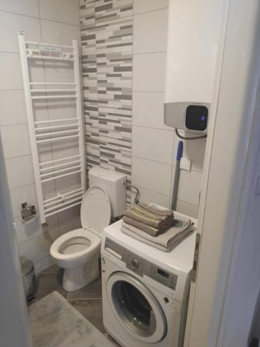 a bathroom with a toilet and a washing machine at Apartman Ada Milica in Železnička Stanica Incel