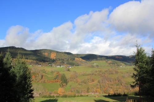 Gîte Les Jonquilles IV