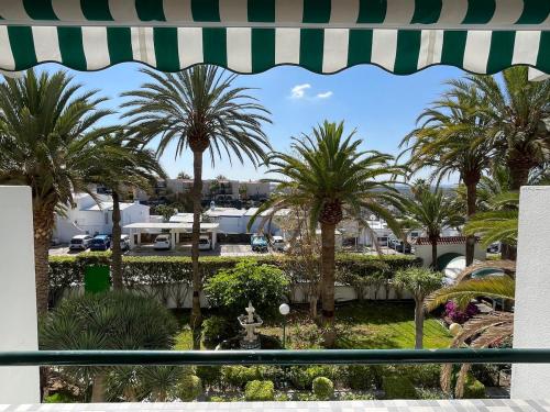 Κήπος έξω από το Apartment Palm Tree View