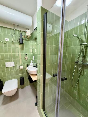 a bathroom with a shower and a toilet and a sink at Garsonka v srdci Vysočiny in Žďár nad Sázavou