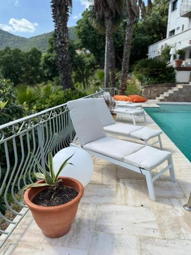 a white bench and a potted plant next to a pool at Villa Hirondelles 35 in Cavalaire-sur-Mer