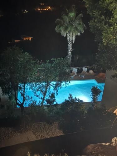 a swimming pool at night with a palm tree at Villa Hirondelles 35 in Cavalaire-sur-Mer