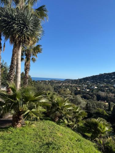 a view from the top of a hill with palm trees at Villa Hirondelles 35 in Cavalaire-sur-Mer