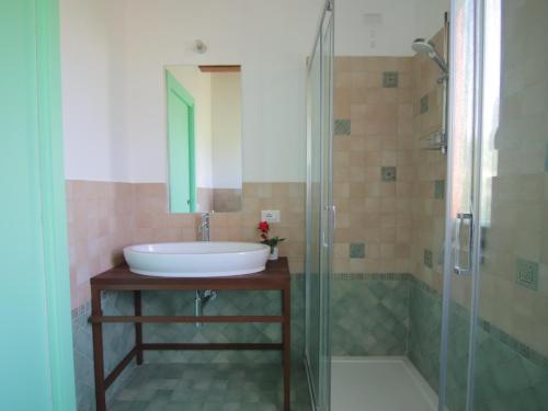 a bathroom with a sink and a shower at Le Dame Country House, Marche in Montegranaro