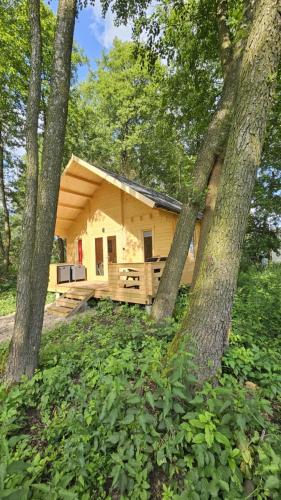 a small yellow cabin in the woods with trees at Zagroda Zabłocie Domek Między Drzewami in Zabłocie