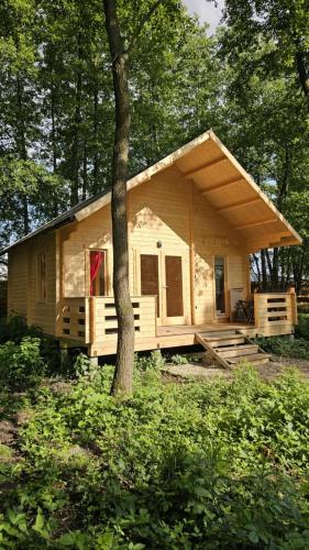 a tiny house is being built in the woods at Zagroda Zabłocie Domek Między Drzewami in Zabłocie