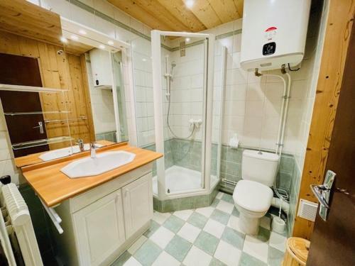 une salle de bain avec un lavabo, des toilettes et une douche dans l'établissement Studio 5 pers. avec balcon, secteur Diable, animaux admis - FR-1-516-47, à Les Deux Alpes