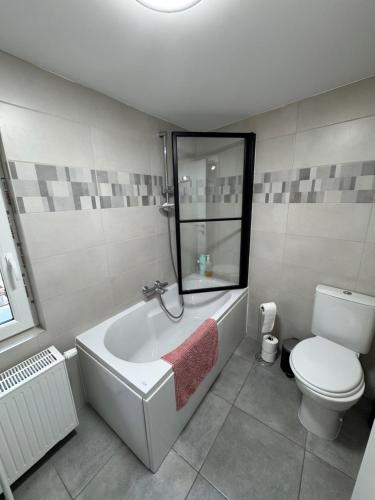a bathroom with a bath tub and a toilet at Studio Confort by Titou - Jumet in Charleroi
