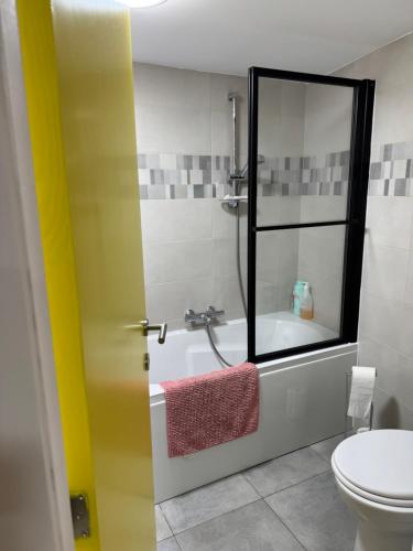 a bathroom with a shower and a tub and a toilet at Studio Confort by Titou - Jumet in Charleroi