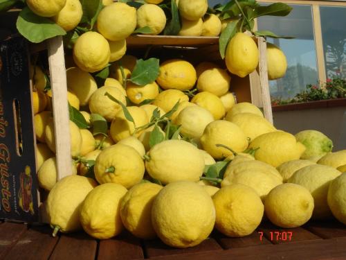 a pile of yellow lemons on display in a store at Podere Villabassa in Montespertoli