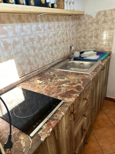 Kuhinja ili čajna kuhinja u objektu Central Tiny House