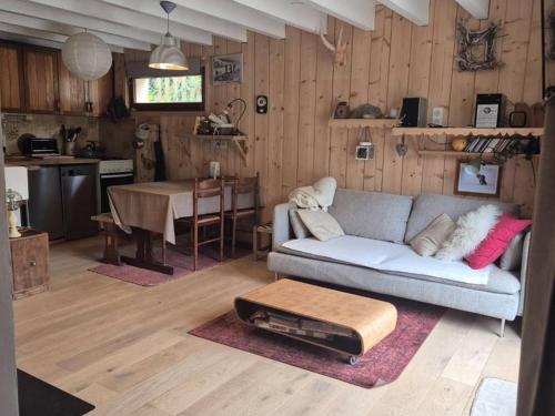 un salon avec un canapé et une table dans l'établissement Chalet à Cauterets / 6 pers / Parking privatif - FR-1-234-318, à Cauterets