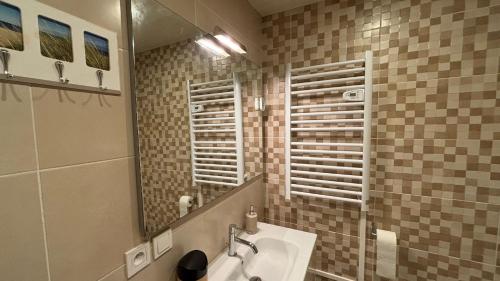 ポーにあるCosy Armenia - T2 - Proche du centreの洗面台と鏡のあるバスルーム