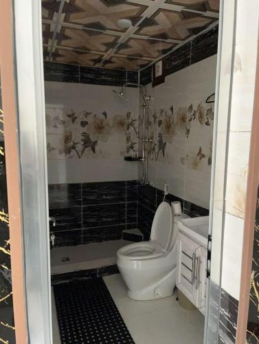 a small bathroom with a toilet and a shower at Wadi Rum Luxurious Camp View in Wadi Rum
