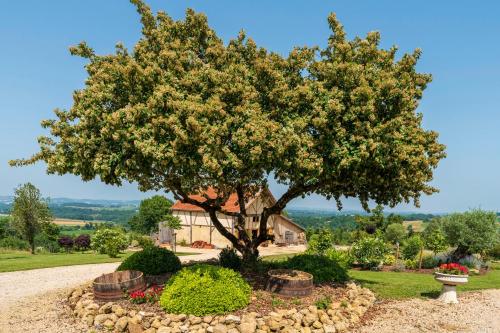 a tree in a garden in front of a house at L'Atelier de Scarlett 