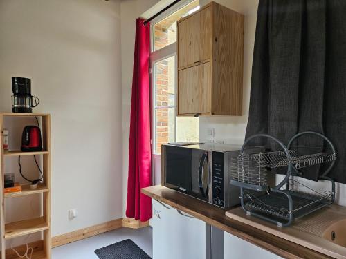 une cuisine avec un four micro-ondes sur un comptoir et une fenêtre dans l'établissement Ma Petite Forêt, à Clémont