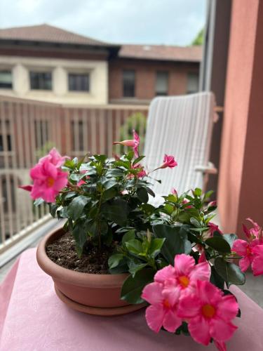 a potted plant sitting on a table with pink flowers at CASA TIO PIERO Centrale accogliente e confortevole in Asti