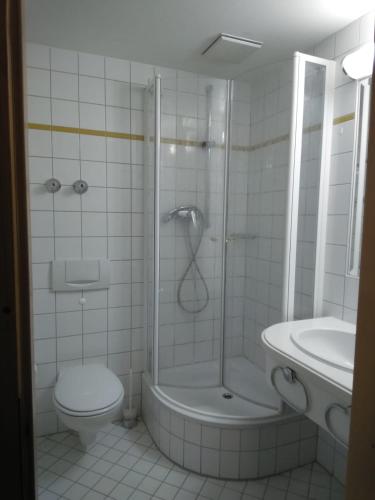 a bathroom with a shower and a toilet and a sink at Schloss Friedrichstal Arabi-Ka in Bad Gottleuba