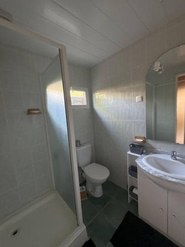 une salle de bain avec une douche, des toilettes et un lavabo dans l'établissement Soleil et Sable, à Mimizan-Plage