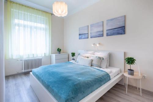 Central comfy and cute apartment