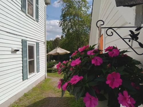 a bush of pink flowers next to a house at 10 Mi to Gore Mountain- Home in Adirondack Park home in Olmstedville