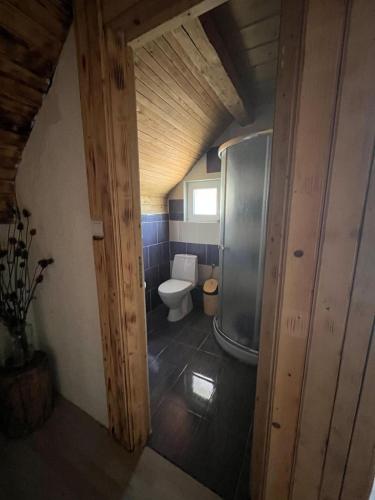 a small bathroom with a toilet and a sink at Casa Bujanovski in Voivodeasa