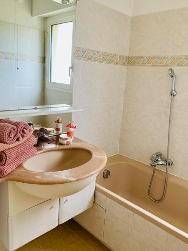 une salle de bain avec un lavabo et une baignoire dans l'établissement Charming apartment with garden, à Antibes