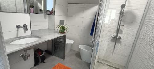 un bagno con lavandino, WC e doccia di Villa Ginevra ad Anzio
