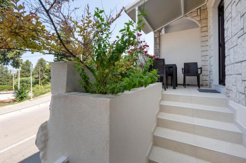 a concrete planter with plants on the side of a house at Apartmani Mandić in Neum