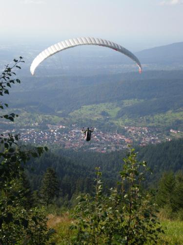 a person is flying through the air with a parachute at Hotel Pension Heidi in Dobel