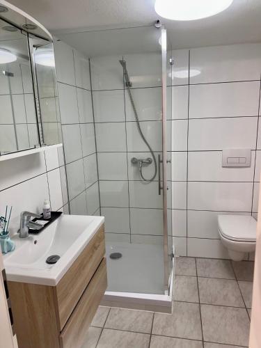 a bathroom with a shower and a sink and a toilet at Comfortable 2 Bedroom Apartment Stuttgart &Ulm Area in Kuchen