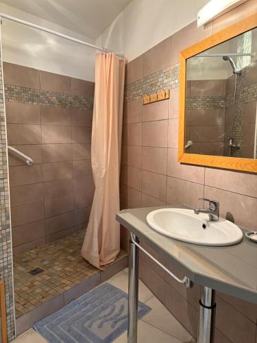 une salle de bain avec un lavabo et une douche dans l'établissement Grand appartement familial a 2 pas du port de St Cyprien, à Saint Cyprien Plage