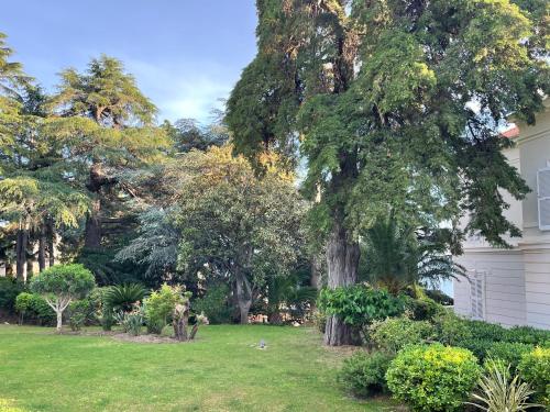 une cour avec des arbres et une maison dans l'établissement Villa Francia 2P with splendid pool -private rental, à Cannes